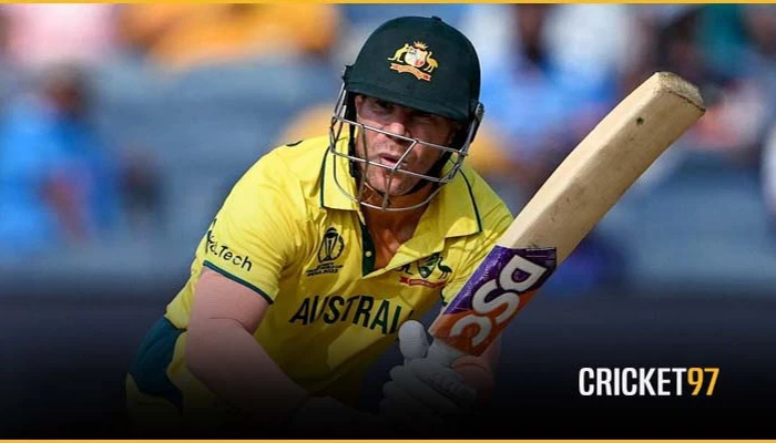 ডেভিড ওয়ার্নারের ক্যারিয়ার, শেষ হয়েও হলনা শেষ